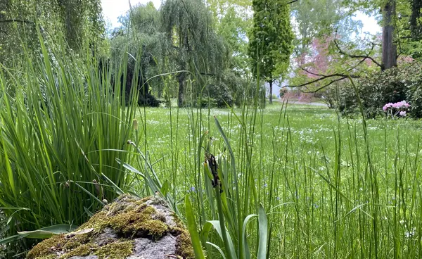Park von Vitos Gießen-Marburg in Gießen Park von Vitos Gießen-Marburg in Gießen