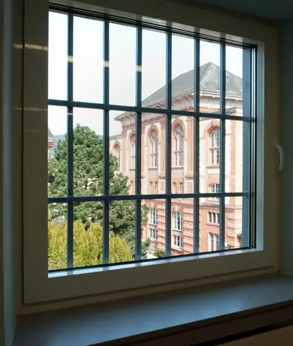 Blick durch ein vergittertes Fenster auf den Festsaal von Vitos Rheingau Blick durch ein vergittertes Fenster auf den Festsaal von Vitos Rheingau
