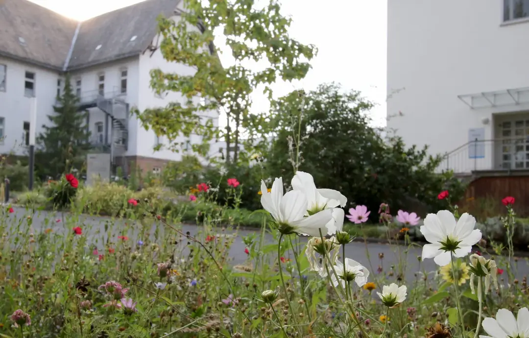 Historischer Pfad Vitos Gelände Marburg Historischer Pfad Vitos Gelände Marburg