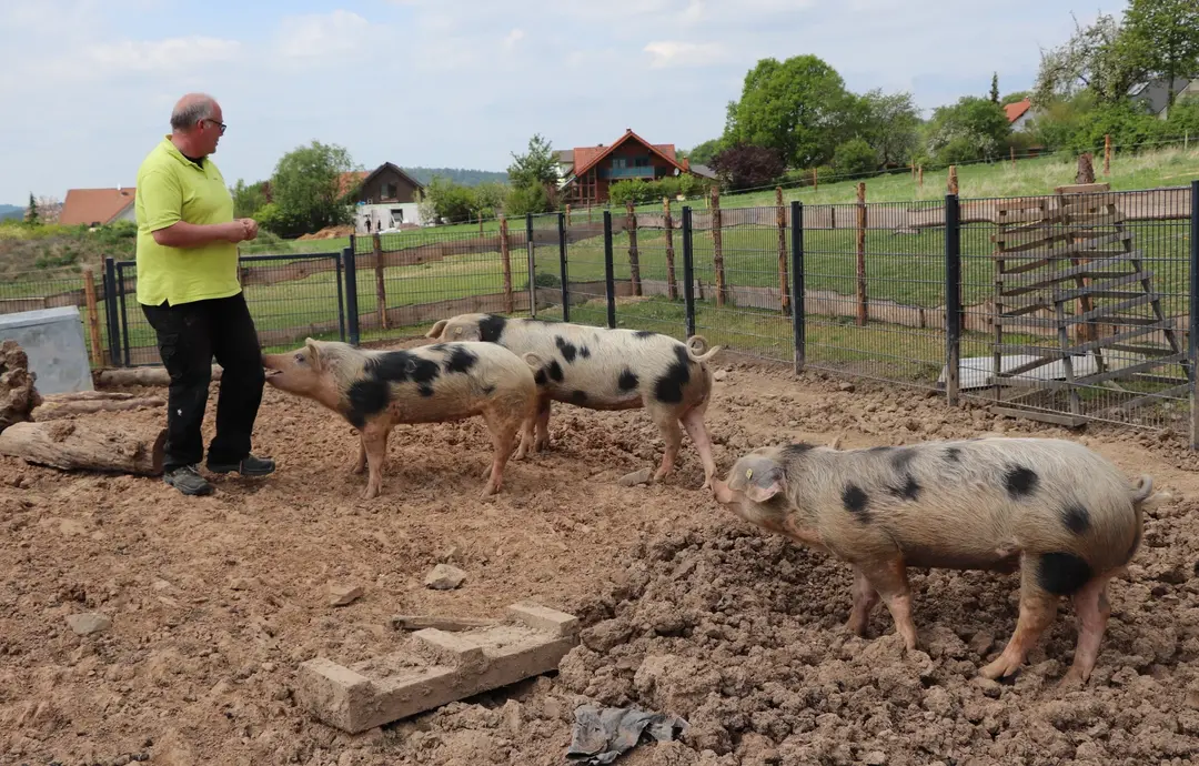Die tiergestützte Therapie soll den Klienten dabei helfen, soziale Fähigkeiten neu zu entdecken, ihre Fähigkeiten zu erhalten oder weiterzuentwickeln. Die tiergestützte Therapie soll den Klienten dabei helfen, soziale Fähigkeiten neu zu entdecken, ihre Fähigkeiten zu erhalten oder weiterzuentwickeln.