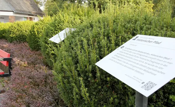 Historischer Pfad Vitos Marburg