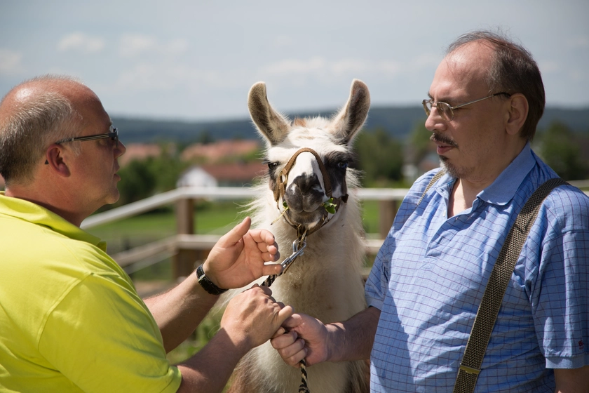 Tiergestützte Therapie der Vitos begleitenden psychiatrischen Dienste Haina  
