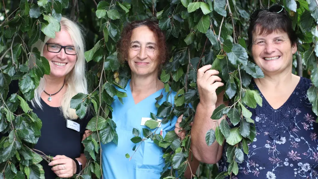 Drei Frauen schauen hinter einem Vorhang aus grünen Blättern, die von einem Baum herabhängen, hervor