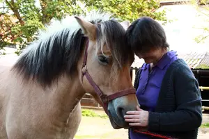 Eine Klientin mit Pferd bei der tiergestützten Therapie