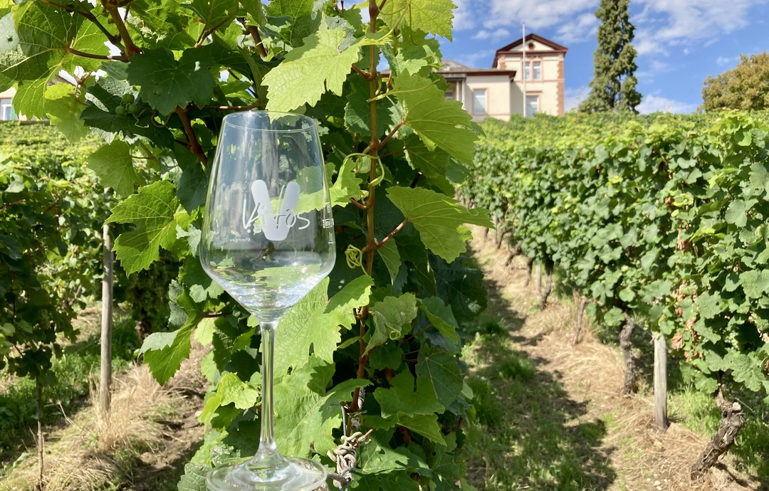 Ein Weinglas steht auf einem Pfosten, dahinter Weinberge und das Direktionsgebäude von Vitos Rheingau Ein Weinglas steht auf einem Pfosten, dahinter Weinberge und das Direktionsgebäude von Vitos Rheingau