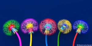 Pusteblumen