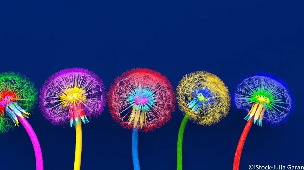 Pusteblumen